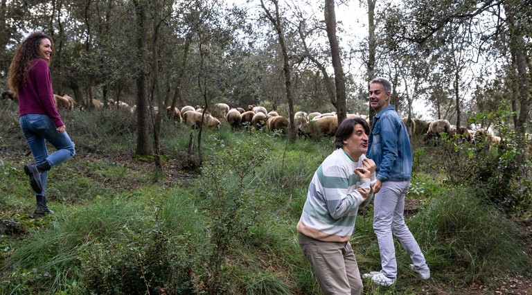 imatge de l'acte